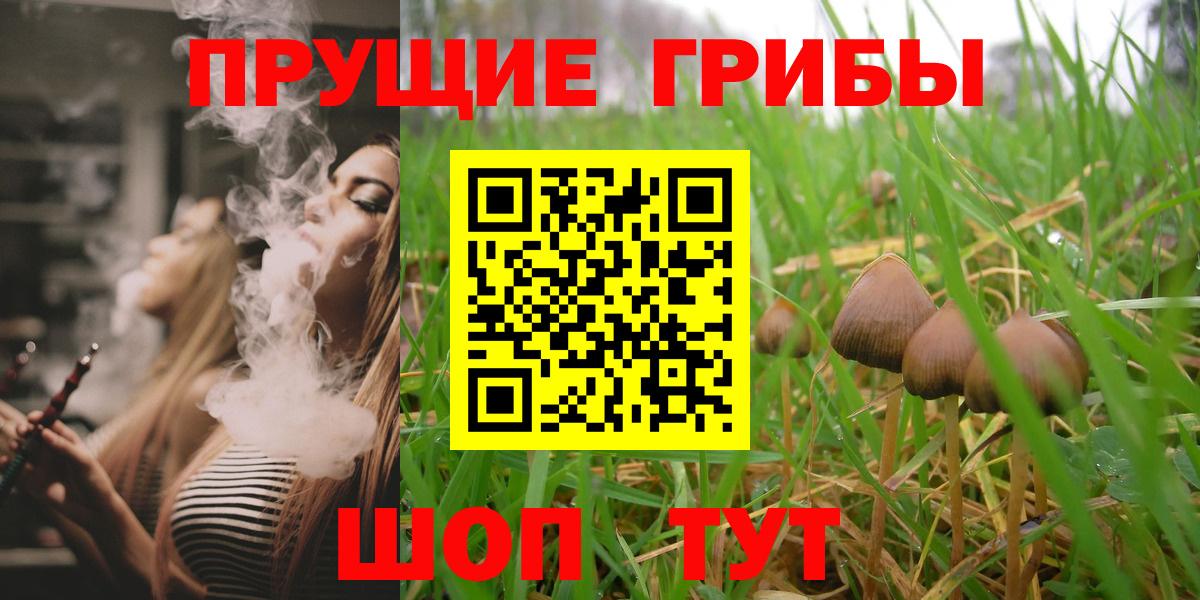 Галлюциногенные грибы Psilocybe Менделеевск