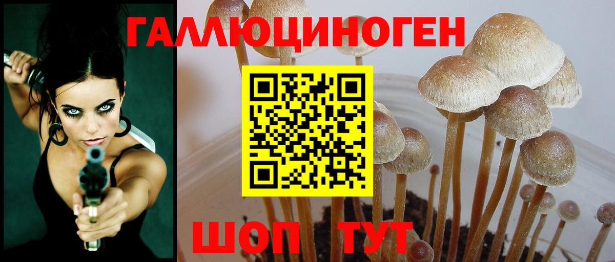 Мефедрон  ЭКСТАЗИ  Менделеевск  Вход с VPN  Меф кристаллы  Каннабис  КОКАИН  Бошки Шишки 